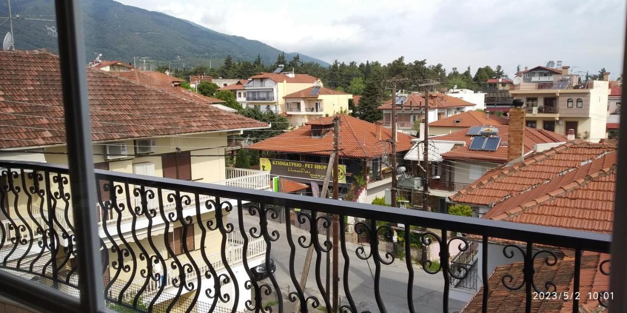 Toula Apartment Litochoro Exterior foto